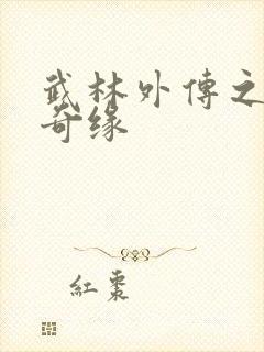 武林外传之同福奇缘封面