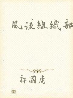 风流组织部长封面