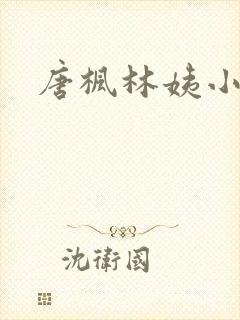 唐枫林姨小说