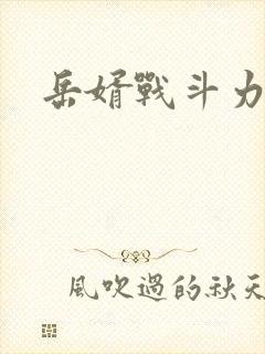 岳婿战斗力