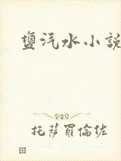 盐汽水小说