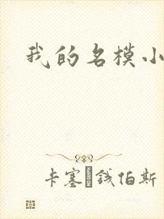 我的名模小娇妻