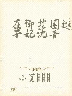 在御花园进入太子妃沈音封面