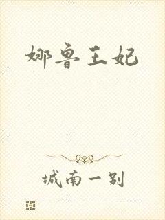 娜鲁王妃封面
