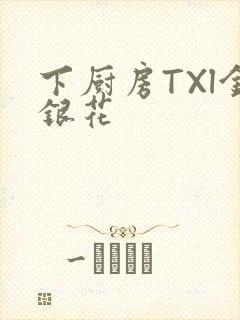 下厨房TXl金银花封面