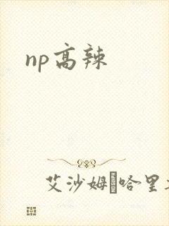 np高辣封面