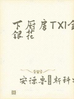 下厨房TXl金银花