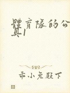 体育队的公用玩具1