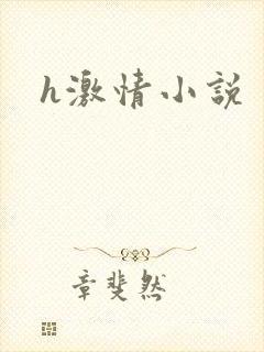 h激情小说封面