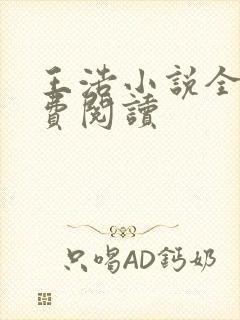 王浩小说全文免费阅读