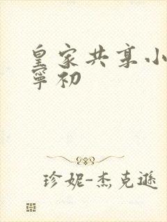 皇家共享小公主宁初