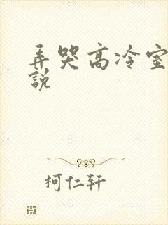 弄哭高冷室友小说