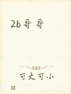 2b哥哥
