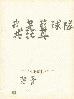 我是篮球队的公共玩具封面