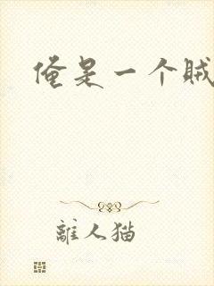 俺是一个贼