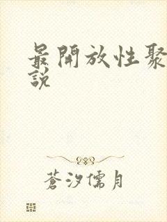 最开放性聚会小说
