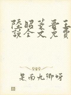 陆昭菱晋王的小说全文免费阅读