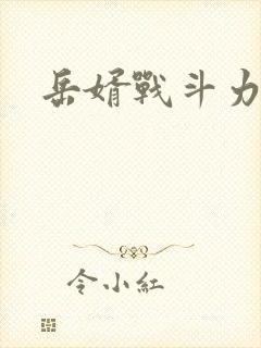 岳婿战斗力