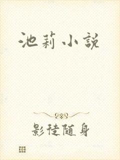 池莉小说封面