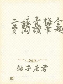 二嫁青梅全文免费阅读笔趣阁封面