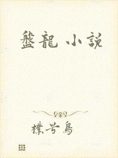 盘龙 小说