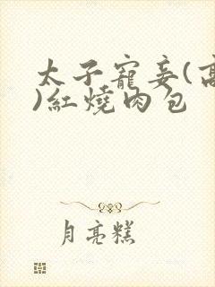 太子宠妾(高肉)红烧肉包