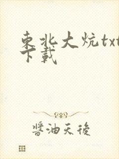 东北大炕txt下载封面