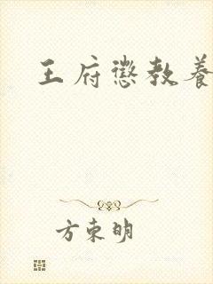 王府惩教养日常