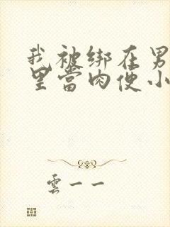 我被绑在男公厕里当肉便小说封面