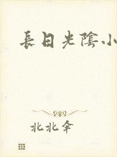 长日光阴小说