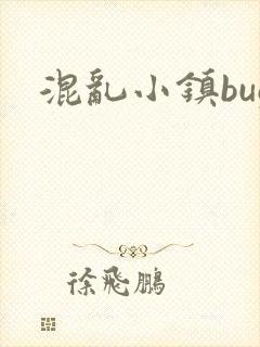 混乱小镇bug
