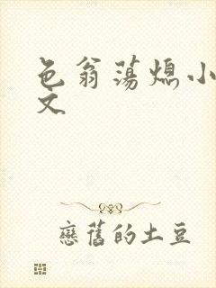 色翁荡熄小说全文