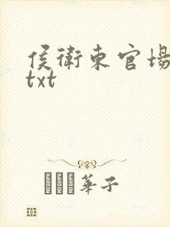 侯卫东官场笔记txt