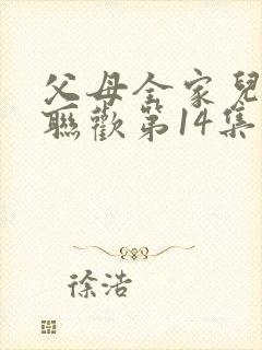 父母全家儿女大联欢第14集封面
