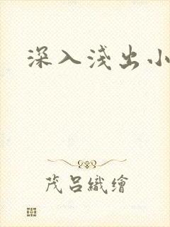 深入浅出小说