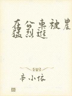 在公车被农民工猛烈进