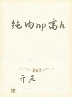 纯肉np高h封面