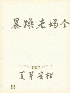 暴躁老妈全集封面
