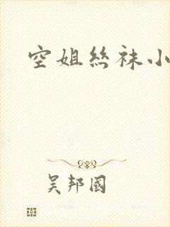 空姐丝袜小说