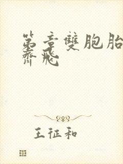 第章双胞胎姐妹齐飞封面