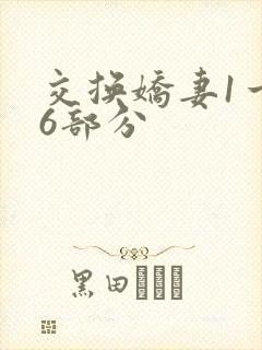 交换娇妻1一36部分