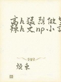 高h猛烈做哭高辣h文np小说封面