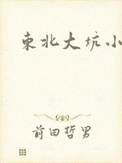 东北大坑小说
