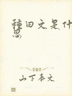 种田文是什么意思