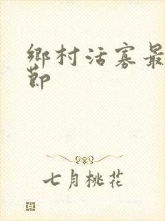 乡村活寡最新章节