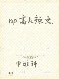 np高h辣文