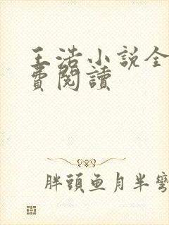 王浩小说全文免费阅读封面