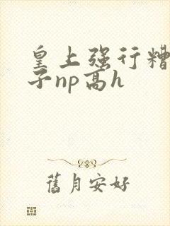 皇上强行糟蹋太子np高h