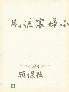 风流寡妇小说