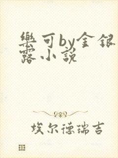 乐可by金银花露小说